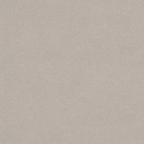 Non-woven wallpaper Rasch concrete stone taupe 479409