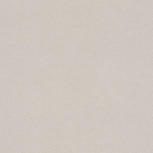 Non-woven wallpaper Rasch concrete stone beige 479430