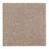 Carpet tile carpet plate Floor tile themselves lying Intrigo diff. colors beige 5