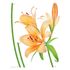 Wall Sticker Decoration Flower Nature green 65x85cm 1