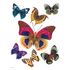 Wall Sticker Decoration Butterfly Animal 65x85cm 1