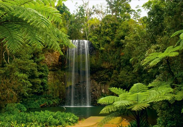 Photo wallpaper water water fall forest nature stones | paper non woven Des-3