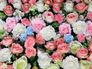 Photo wallpaper flowers roses nature | paper non woven Des-18 1