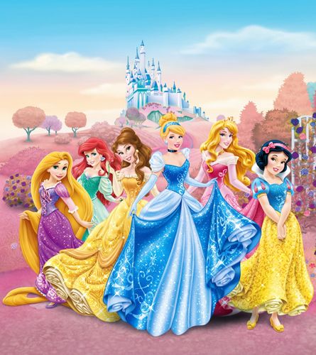 XXL Photo Wallpaper Mural Disney Princess Cinderella