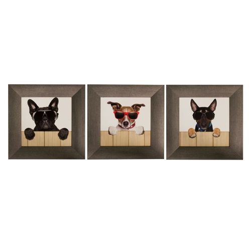 Set of 3 Framed Pictures Dogs Cool Sunglasses 23x23cm