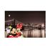 Picture Canvas Mural Print Mickey Minnie Mouse New York 60x90cm 1