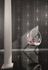 Impression Wallpaper Harald Glööckler baroque anthracite Metallic 54853 4