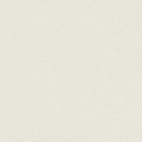 Wallpaper Rasch Passepartout granules grey white Metallic 606638