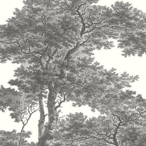 Photo wallpaper Rasch Passepartout wood tree white anthracite 606898