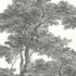 Photo wallpaper Rasch Passepartout wood tree white anthracite 606898 1