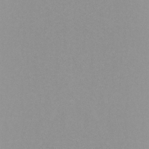 Wallpaper Rasch Emilia plain design silver Metallic 501223