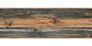 Roll picture Wallpaper Border Wooden Style grey brown self-adhesive 9060-14 1