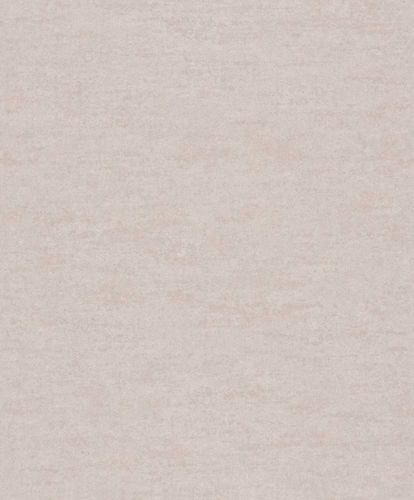 Article picture Wallpaper Rasch Textil Aristide mottled design grey gloss 228389