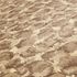 detailed image Wallpaper Versace Home leo print cream brown 34902-1 3