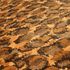 detailed image Wallpaper Versace Home leo print skin beige brown 34902-3 2
