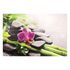 Canvas Picture Mural bamboo stones orchid 78x118 cm 1
