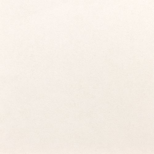 Wallpaper Rasch Vincenza textured design white 467109