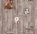 Kindertapete Pferd Hund Schaf braun beige Little Stars 35842-2 1
