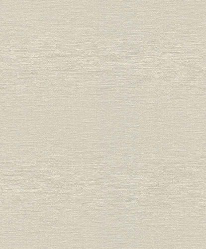 Non-woven Wallpaper Rasch Hotspot plain texture cream grey 804348