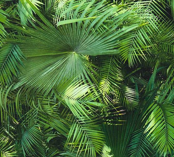 Wallpaper Neue Bude 2.0 palm leaf green 36200-1