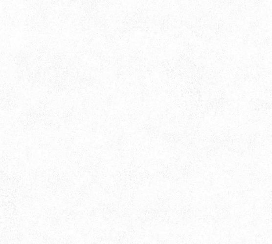 Wallpaper Neue Bude 2.0 textured design white 36206-6