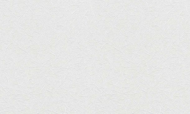 XL non-woven Wallpaper paintable lines texture Rasch 166118