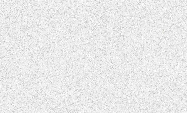 XL non-woven Wallpaper paintable nature texture Rasch 182316