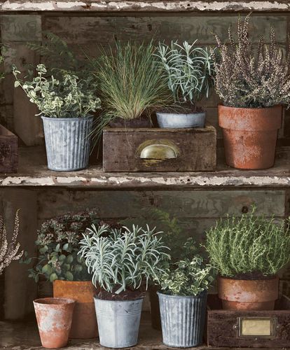 Image Non-Woven Wallpaper vintage herb shelf grey GranDeco Facade FC3102