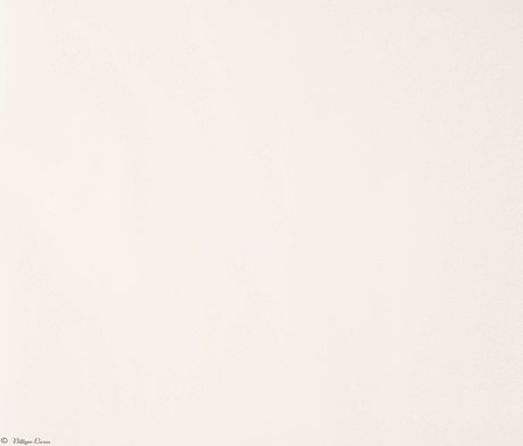 Wallpaper Rasch Trianon baroque white silver 514919