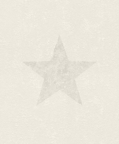 Wallpaper Rasch star plaster white grey 809305