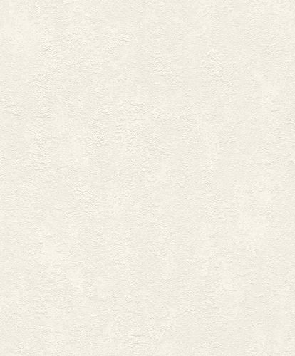 Wallpaper Rasch plaster white 809435