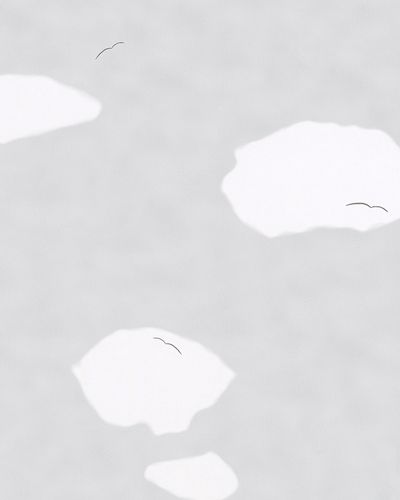 Image Kids Wallpaper Clouds Birds grey white 31107