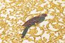 Photo Vinyl Wallpaper Versace Home 4 Ornament 370532 3