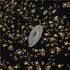 roll image Vinyl Wallpaper Versace Home 4 Flowers 935854 3