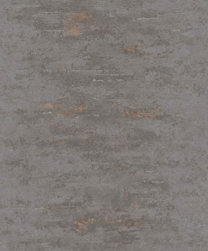 Image Non-Woven Wallpaper Concrete Patina Metallic ON4201