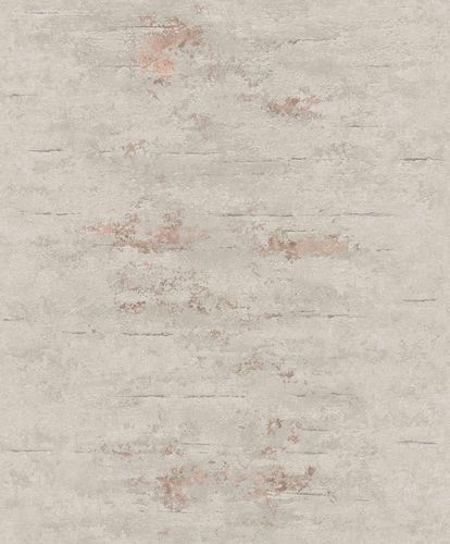 Image Non-Woven Wallpaper Concrete Patina Metallic ON4202