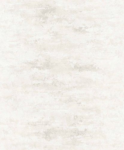 Image Non-Woven Wallpaper Concrete Patina Metallic ON4203