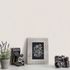 Wallpaper Guido Kretschmer Plain grey-brown 10004-26 3
