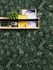 Non-Woven Jungle Birds black green 37210-1 4