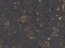 Non-woven wallpaper baroque black gold 37413-2 1