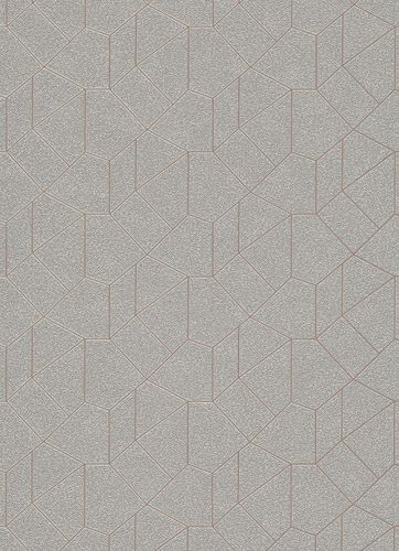 Graphic-Design non-woven wallpaper grey beige 10062-02