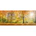 Photo Non-Woven Wallpaper Forest Autumn green orange 1