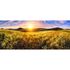 Photo Non-Woven Wallpaper Meadow Field yellow green 1