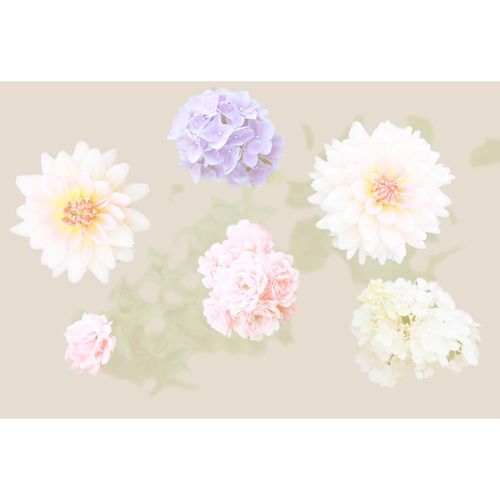 Photo Non-Woven Wallpaper Flower Floral beige green