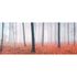 Photo Non-Woven Wallpaper Trees Forest Dust brown red 1