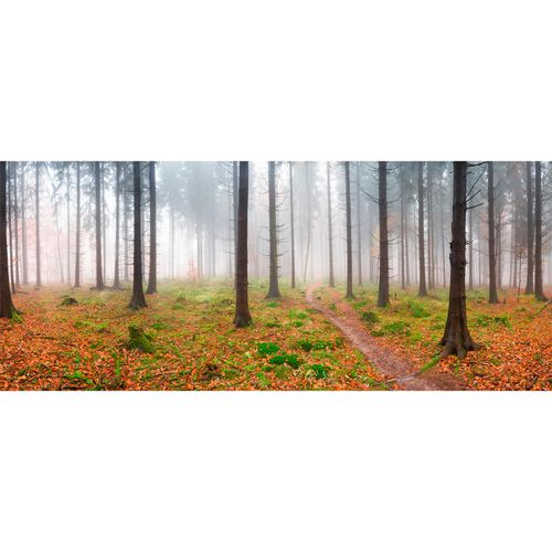 Photo Non-Woven Wallpaper Trees Forest Dust brown green