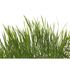 Photo Non-Woven Wallpaper Gras Floral green white 2