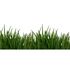 Photo Non-Woven Wallpaper Lawn Floral green white 2