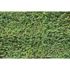Photo Non-Woven Wallpaper Hedge Leaves brown green 2
