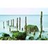 Photo Non-Woven Wallpaper Rocks Water blue green 1